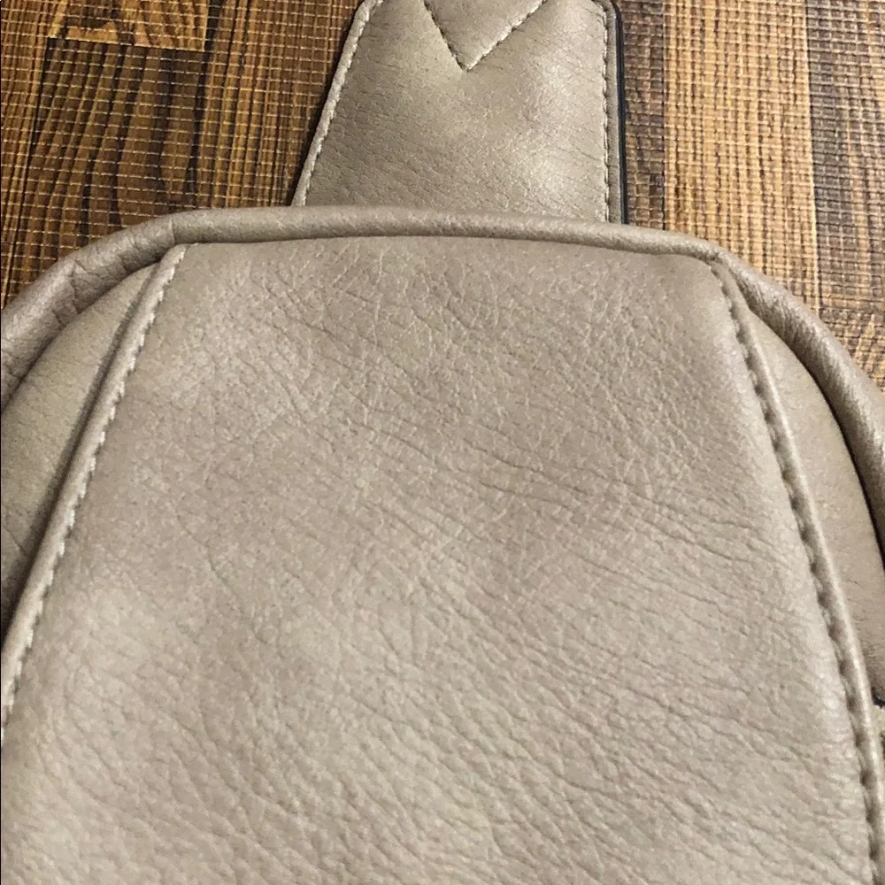 Telena Taupe Mini Slingbag with Front Flap and Gold Hardware